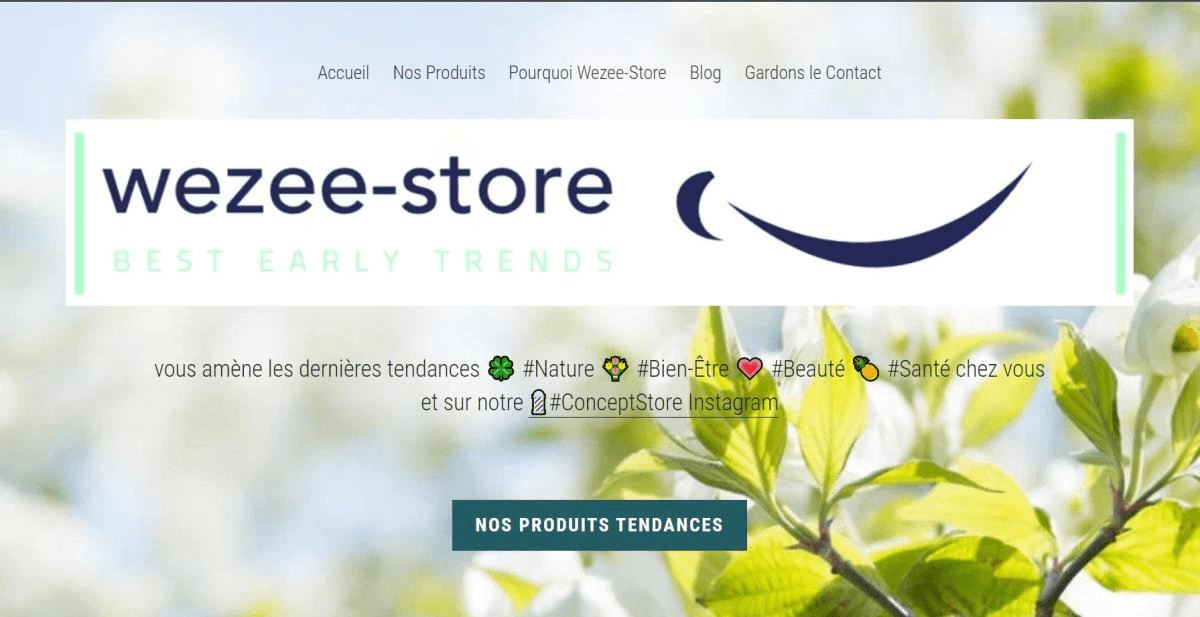 null Wezee Store Strikingly